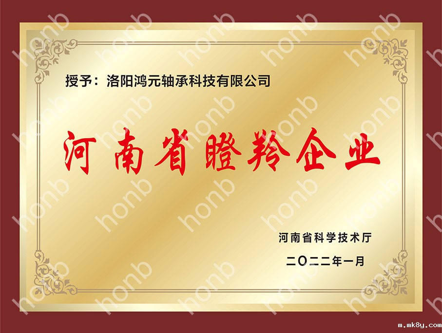 河南省瞪羚企业