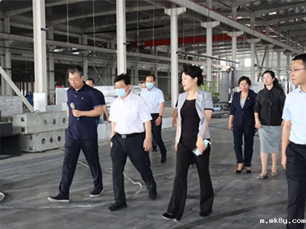 洛阳市长徐衣显一行莅临鸿元轴承新厂项目建设现场考察